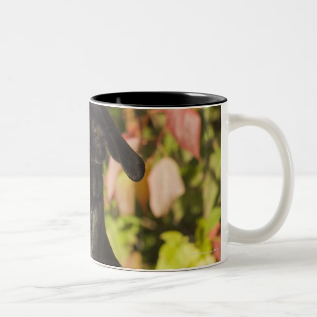 Portrait Off A Dog Two-Tone Coffee Mug (Right)
