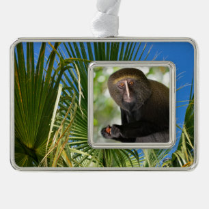 Portrait owl-faced monkey postcard square sticker  silver plated framed ornament