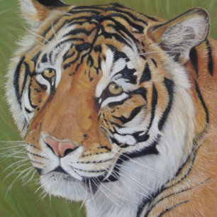 portrait painting of big cat tiger poster