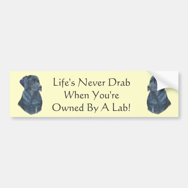 portrait painting of black labrador dog bumper sticker (Front)