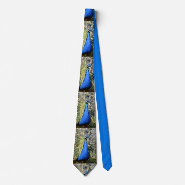 Portrait peacock display tie (Front)