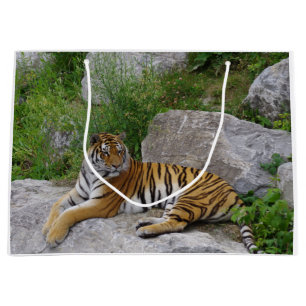 Portrait photo of a Siberian tiger Large Gift Bag