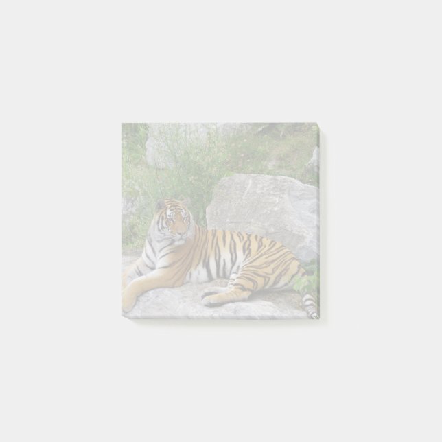 Portrait photo of a Siberian tiger Post-it Notes (Front)