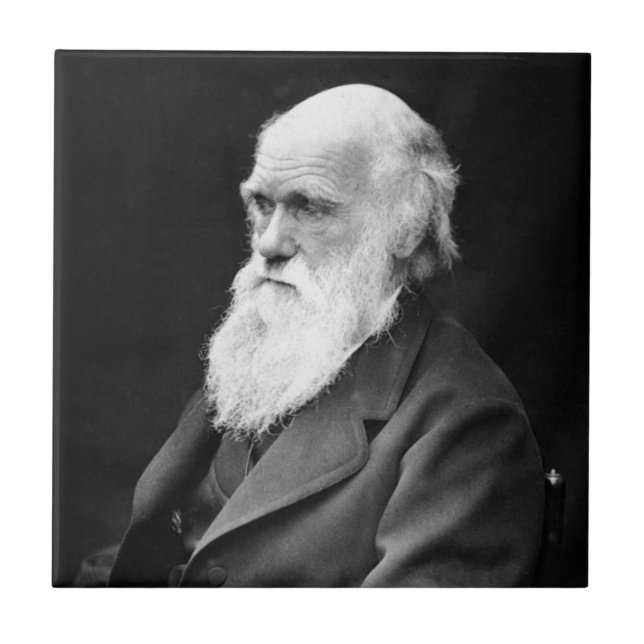 Portrait Photo of Charles Darwin Ceramic Tile (Front)