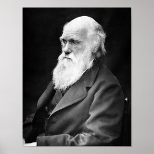 Portrait Photo of Charles Darwin Poster