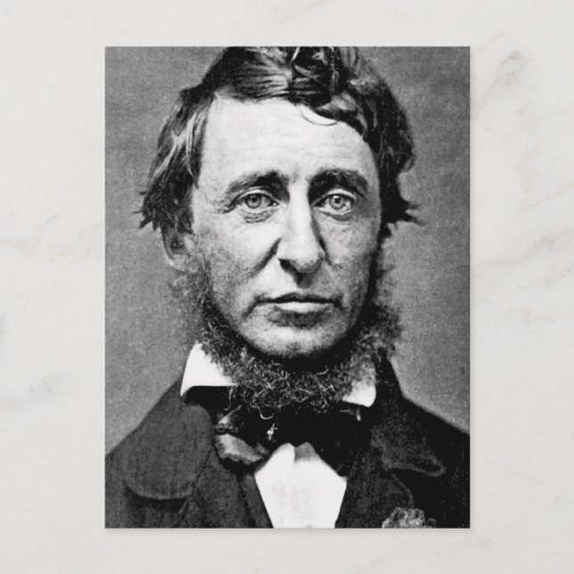 Portrait Photograph of Henry David Thoreau Postcard (Front)