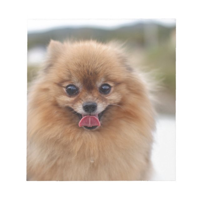 Portrait Pomeranian Dog Notepad (Front)