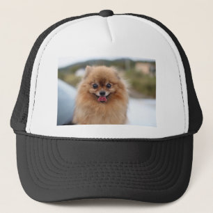 Portrait Pomeranian Dog Trucker Hat
