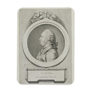 Portrait study of George Stubbs (1724-1806) (soft- Magnet