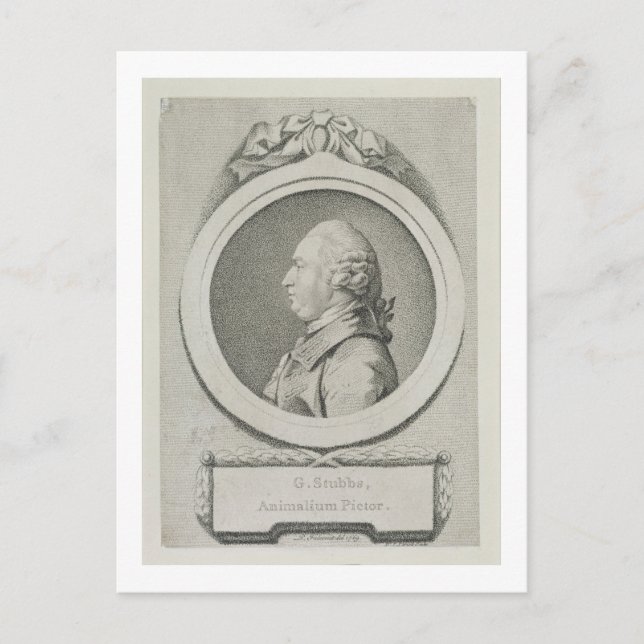 Portrait study of George Stubbs (1724-1806) (soft- Postcard (Front)