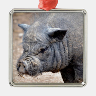 Portrait Vietnamese potbellied pig Metal Tree Decoration