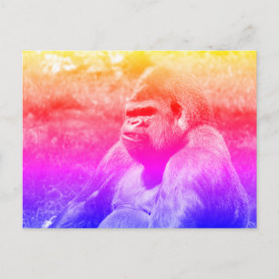 Portrait western lowland gorilla postcard