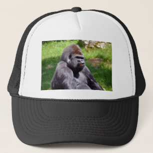 Portrait western lowland gorilla trucker hat