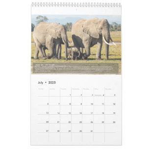 Portraits of an Elephant's Lifespan Calendar