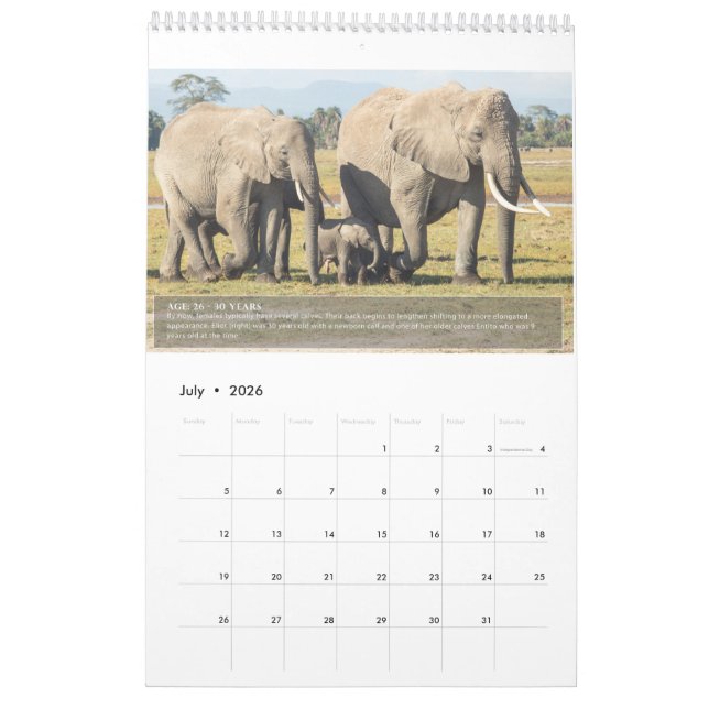 Portraits of an Elephant's Lifespan Calendar (Jul 2026)