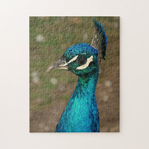 Porträt eines blauen Pfaus Jigsaw Puzzle