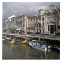 Portugal, Aveiro. Moliceiros (seaweed collecting