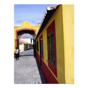 Portugal : Colours of Funchal  Photo Print