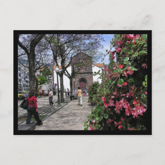 (Portugal) Funchal, Madeira Postcard