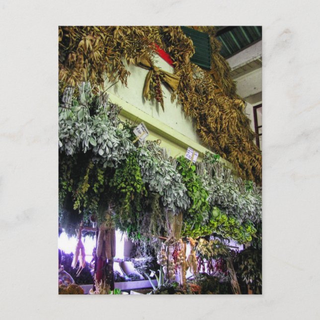 (Portugal) in Funchal Market Postcard (Front)