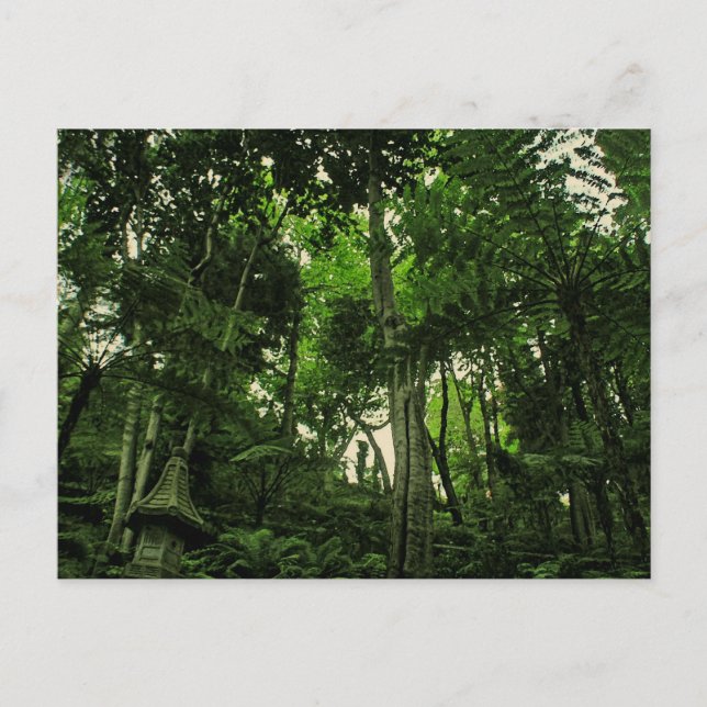 Portugal Madeira : Canopy of Lushness Postcard (Front)