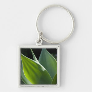 Portugal, Madeira Island, Funchal. Botanical Key Ring