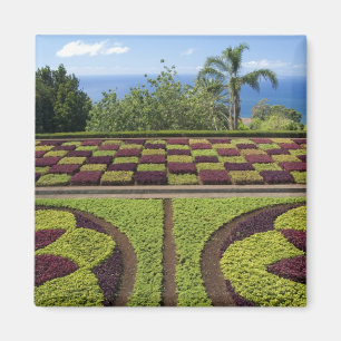 Portugal, Madeira Island, Funchal. Botanical Magnet