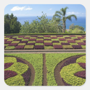 Portugal, Madeira Island, Funchal. Botanical Square Sticker