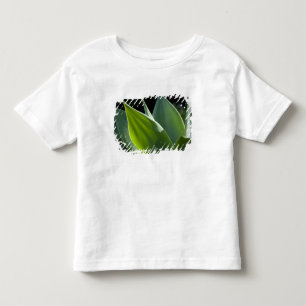 Portugal, Madeira Island, Funchal. Botanical Toddler T-Shirt