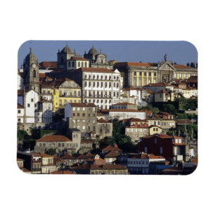 Portugal, Oporto (Porto). Historic houses and Magnet
