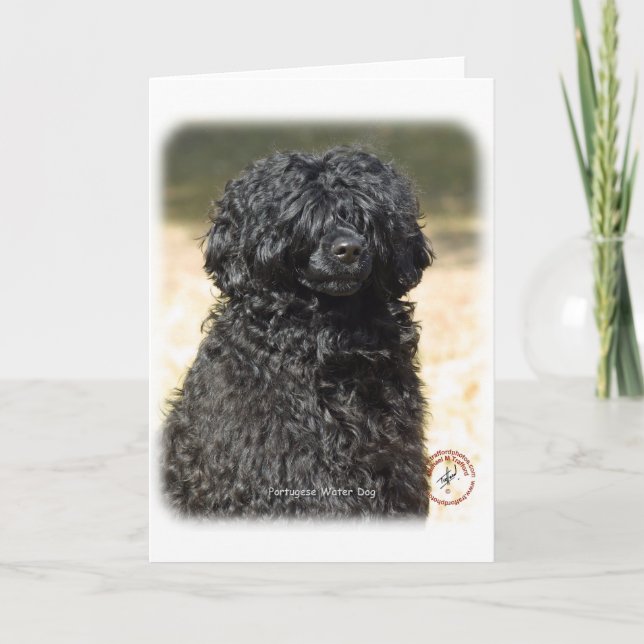 Portugese Water Dog 9R016D-151 Card (Front)