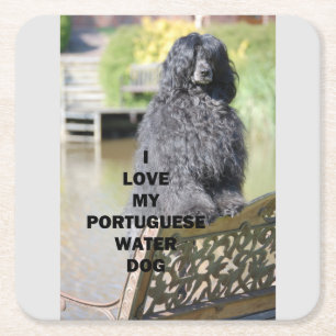 portugese water dog love with pic square paper coaster