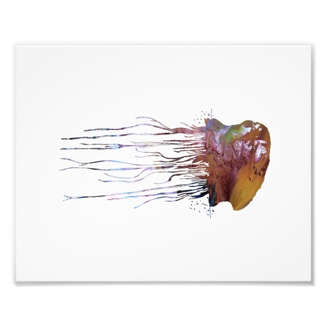 Portuguese man o' war photo print (Front)