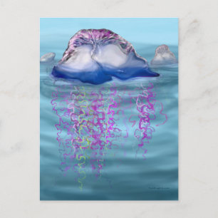 Portuguese man-of-war postcard