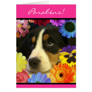 Portuguese: Parabéns- foto de cachorrinho