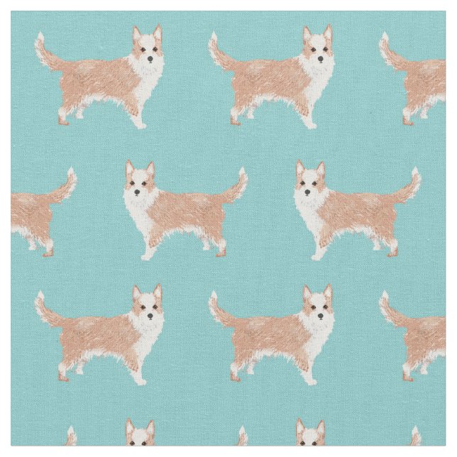 portuguese podengo pequeno dog simple light blue fabric (Close Up)