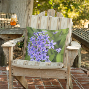 Portuguese Squill Flowers Closeup Nature Photo Cushion