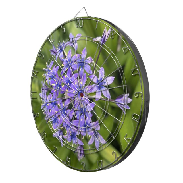 Portuguese Squill Flowers Closeup Nature Photo Dartboard (Front Right)