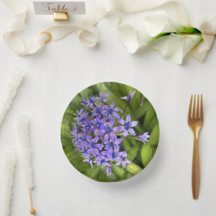Portuguese Squill Flowers Closeup Nature Photo Paper Plate
