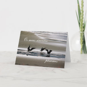 Portuguese sympathy card/condolences: Seagulls Card