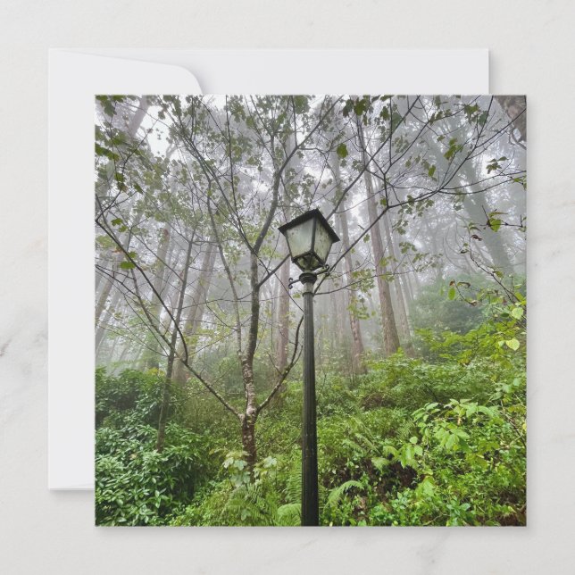 Portuguese vibes (Front)