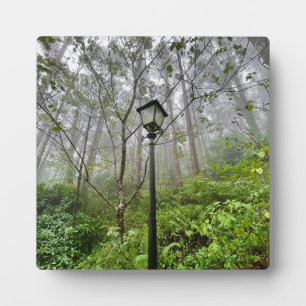 Portuguese vibes plaque