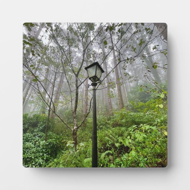 Portuguese vibes plaque (Front)