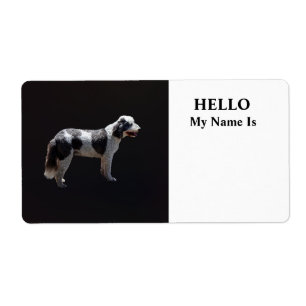 Portuguese Water Dog