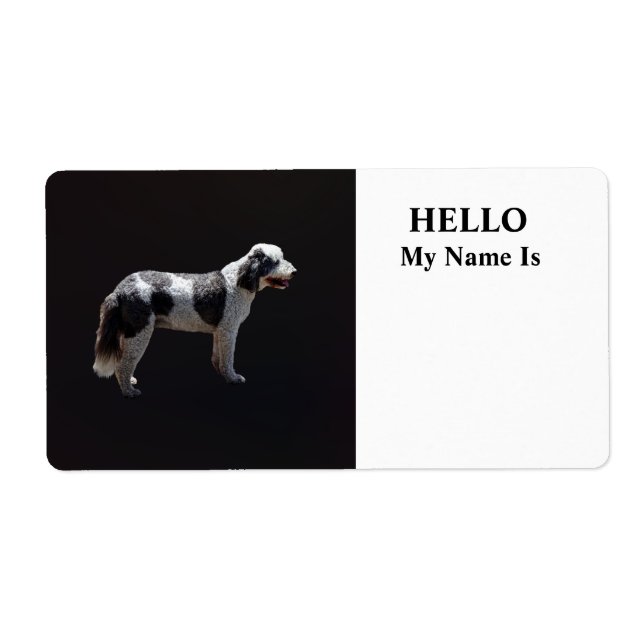 Portuguese Water Dog (Front)