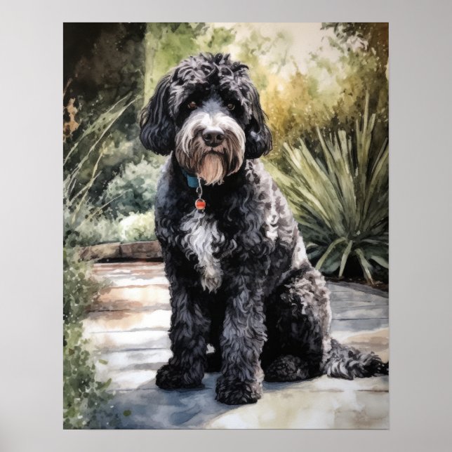Portuguese Water Dog Art Print Poster (Front)
