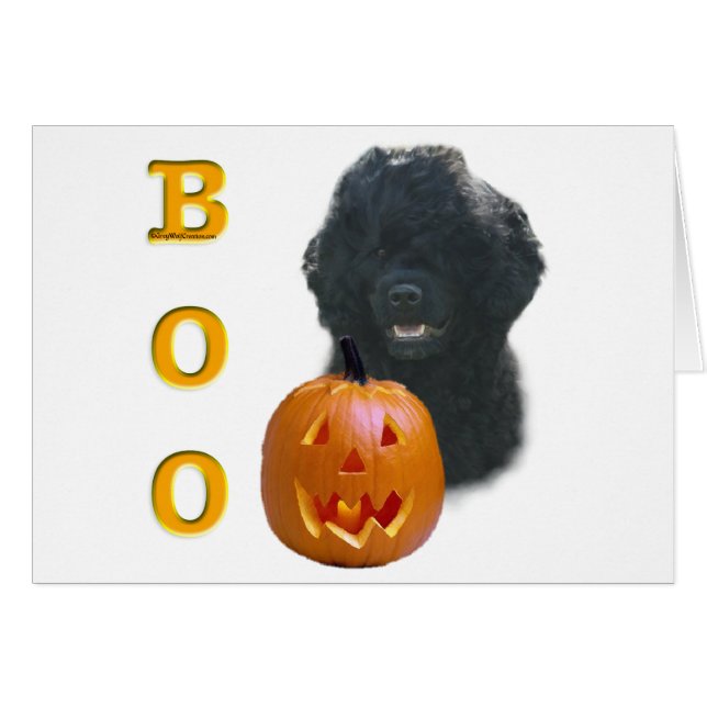Portuguese Water Dog Boo (Front Horizontal)
