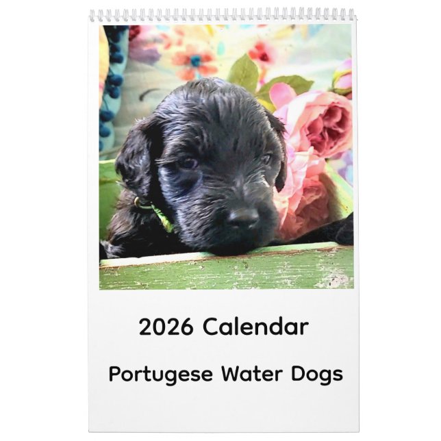 Portuguese Water Dog Calendar 2026 (Cover)