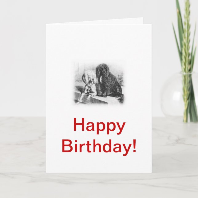 Portuguese Water Dog Card (Front)