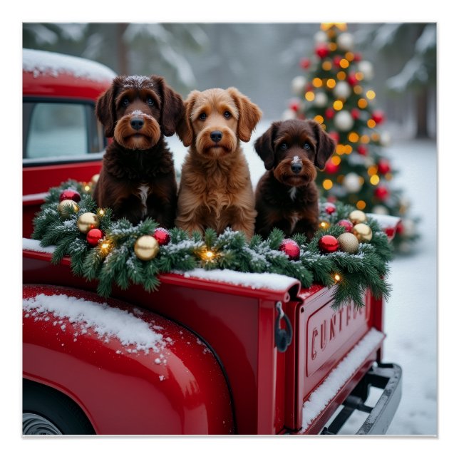 Portuguese Water Dog Christmas Red Truck Holiday Poster (Front)